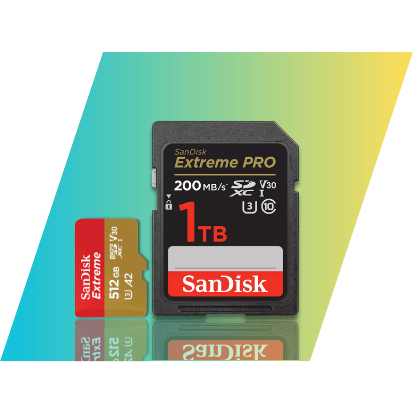 Memory Cards